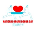 National organ donor day. Doctors carry heart on stretcher. 14th of February. Postcard, poster for holiday