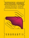 National organ donor day. Hands hold liver. 14th of February. Postcard, poster for holiday