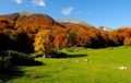 National park Abruzzo Lazio Molise Royalty Free Stock Photo