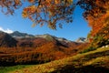 National park Abruzzo Lazio Molise Royalty Free Stock Photo