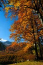 National park Abruzzo Lazio Molise Royalty Free Stock Photo