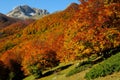 National park Abruzzo Lazio Molise Royalty Free Stock Photo