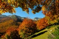 National park Abruzzo Lazio Molise Royalty Free Stock Photo