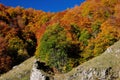 National park Abruzzo Lazio Molise Royalty Free Stock Photo