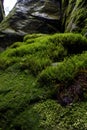 National Park of Adrspach - Teplice rocks. Rock Town. Czech Republic