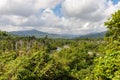 View on jungle with palms at national park alejandro de humboldt near baracoa Cuba Royalty Free Stock Photo