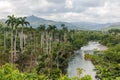 View on national park alejandro de humboldt with river Cuba