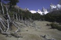 National Park Argentina Los Glaciares