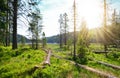 National park Bavarian forest ( Bayerische Wald )  Germany. Royalty Free Stock Photo