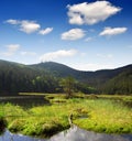 National Park Bavarian Forest - Germany