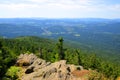 National park Bayerische Wald, Germany.