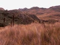 National park Cajas, ecuador