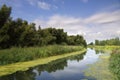 National Park de Biesbosch Royalty Free Stock Photo