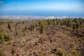 National park del Teide, view of magical park