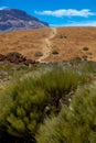 National park del Teide, view of magical park