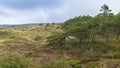 National Park Dunes Texel, Netherlands