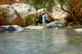 National Park Ein Gedi