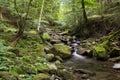 National park of Foreste Casentinesi, Tuscany Royalty Free Stock Photo