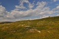 In national park Hardangervidda, Norway Royalty Free Stock Photo