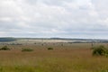 High Fens landscape Botrange Belgium