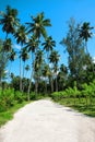 National park L\'Union Estate, Island La Digue, Republic of Seychelles, Africa Royalty Free Stock Photo