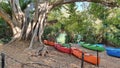 National park in the Lawn Hill, Queensland. Boodjamulla National Park