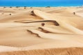 National park of Maspalomas sand dunes. Gran Canaria, Canary islands, Spain Royalty Free Stock Photo