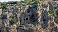 National Park and Mount Carmel Nature Reserve. Israel. Royalty Free Stock Photo