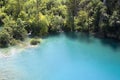 The national park plitvicka lake Royalty Free Stock Photo