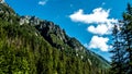 Emerging rocks from a coniferous forest Royalty Free Stock Photo