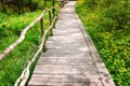 National Park Ropotamo Bulgaria. Wooden bridge leads to the Ropotamo river crossing green spring forest. Royalty Free Stock Photo