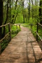 National Park Ropotamo Bulgaria. Wooden bridge leads to the Ropotamo river crossing green spring forest. Royalty Free Stock Photo