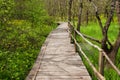 National Park Ropotamo Bulgaria. Wooden bridge leads to the Ropotamo river crossing green spring forest. Royalty Free Stock Photo