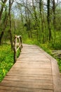 National Park Ropotamo Bulgaria. Wooden bridge leads to the Ropotamo river crossing green spring forest. Royalty Free Stock Photo