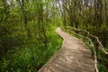 National Park Ropotamo Bulgaria. Wooden bridge leads to the Ropotamo river crossing green spring forest. Royalty Free Stock Photo