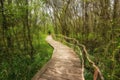 National Park Ropotamo Bulgaria. Wooden bridge leads to the Ropotamo river crossing green spring forest. Royalty Free Stock Photo