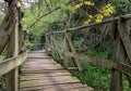 National Park Ropotamo Bulgaria. Wooden bridge leads to the Ropotamo river crossing green spring forest Royalty Free Stock Photo