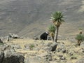 National Park of Siemen, Ethiopia