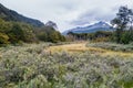 National Park Tierra del Fuego Royalty Free Stock Photo