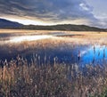 The national park Torres del Paine, Chile Royalty Free Stock Photo