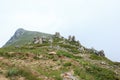 National park Uludag Royalty Free Stock Photo