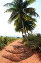 National park Vinales Royalty Free Stock Photo