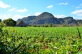 National park Vinales and its tobacco farms Royalty Free Stock Photo