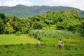 National park Vinales Royalty Free Stock Photo