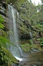 Waterfall in Tasmania.