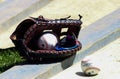 National Pastime Royalty Free Stock Photo