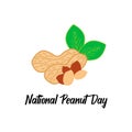 National peanut day banner with brown nutshells, kernels and green leaves
