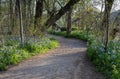 National Potomac Heritage Trail Great Falls Virginia Royalty Free Stock Photo