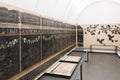 National Roman Museum - wall paintings