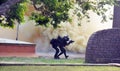 NSG commandos anti terror mock drill in Bhopal
